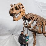 Robert Cookson - @robert.cookson.89 - Instagram