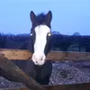robertcookson18 - @robertcookson18 - TikTok