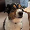 robertcors - @roberto87651232 - TikTok