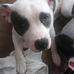 Robert Corder - Facebook
