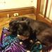 Robert Corder - Facebook