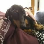 Robert Corey - @corey4372 - Instagram