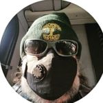 Paul Corman-Roberts - @_cormanroberts - Instagram