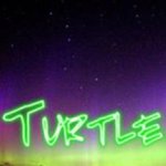Robert Cornell - @turtle1981a - Instagram