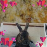 Robert Cornell - @robert.cornell.378537 - Instagram