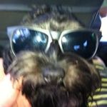 Robert Cornell - @robertcornell5493 - Instagram