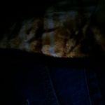 Robert Cornely Sr. - @cornelysr.robert - Instagram