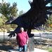 Robert Cosen - Facebook