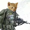 Robert Couch - @pusayanialator - TikTok