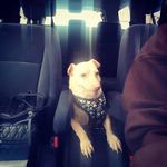 Oscar Coughlan - @oscar_robertson_coughlan_ - Instagram