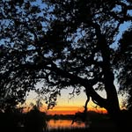 Robert Covell - @real_shotphotography - Instagram