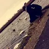 robertscovell - @robertscovell - TikTok