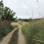 Robert Covington - @rcovington1142 - Instagram