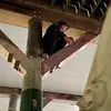 robertcozzone126 - @robertcozzone126 - TikTok