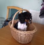 Robert Cragg - Facebook