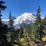 Robert Crain - @roberrrrt - Instagram
