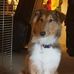 Bob Creviston - Facebook