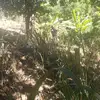 Roberto Cribari - @robertocribarigmail.com - TikTok