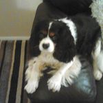 Robert Cringan - @cringanrobert - Instagram