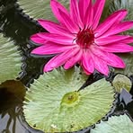 Robert Crisfield - Facebook