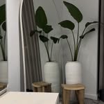 ROBERT CRISPIN - @robertcrispinco.lab - Instagram