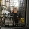 Robert Cristiano - @_rob_v - TikTok