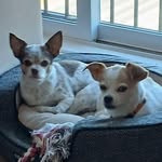 Robert Crites - @robert.crites.5 - Instagram