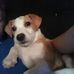 Robert Crofoot - Facebook
