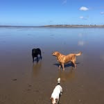 Robert Crofts - @robert.crofts - Instagram