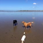 Robert Crofts - @robert.crofts - Instagram