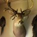 Robert Cromer - Facebook