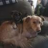 Robert Crossley - @robert.crossley - TikTok