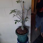 Robert Crossman - @crossman608 - Instagram
