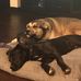 Robert Crossman - Facebook