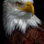Robert Croy - @robert.croy.5458 - Instagram