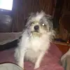 Robert Croy - @robert.croy - TikTok