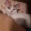 Robert crunk - @robert.crunk5 - TikTok
