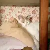 robertcrunk772 - @robertcrunk772 - TikTok