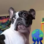 Robert Cryer - @cryer.robert - Instagram