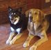 Robert Cryder - Facebook