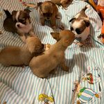 Roberto Cuccioli - @robertocuccioli - Instagram
