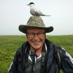 Robert Cudmore - @robertcudmore - Instagram