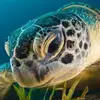 robertcudmore76 - @robertcudmore76 - TikTok