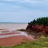 Robin Cudmore - @robin.cudmore - TikTok