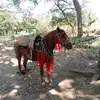 robert cuellar - @robert.cuellar4 - TikTok