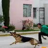 Robert Cuervo - @robert.cuervo - TikTok