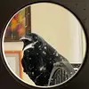 Roberto_elcuervo - @roberto_elcuervo - TikTok