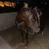 robertcuevas656 - @robert.cuevas34 - TikTok