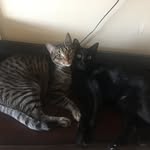 Robert Cuffey - @robertcuffeyjr - Instagram
