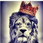robert cumberbatch - @robertcumberbatc - Instagram